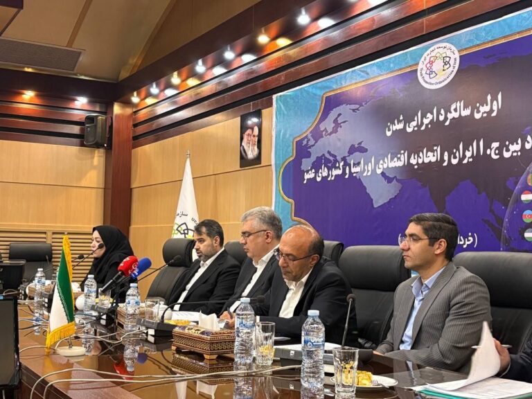 سرپرست دبیرخانه