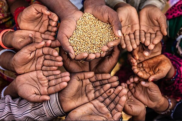 امنیت غذایی جهانی