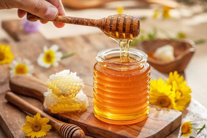 بهترین غذا
