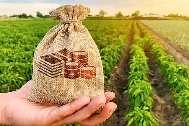 راه‌اندازی کسب‌وکارهای نوپا