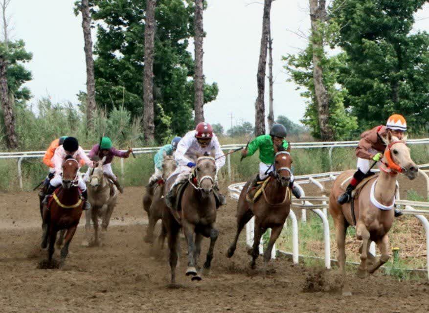 کورس گنبدکاووس