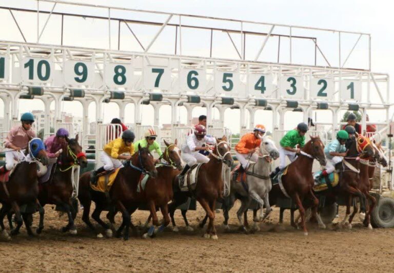 کورس گنبدکاووس