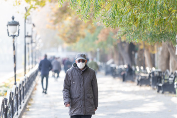 مدیریت سبز