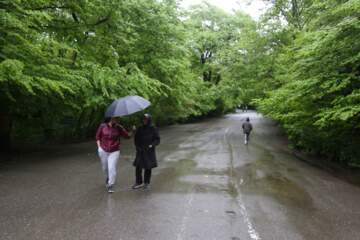 بارش پراکنده باران