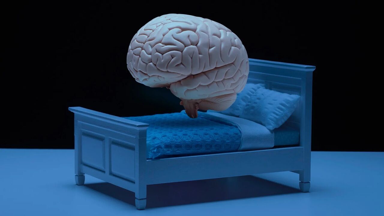 مغز