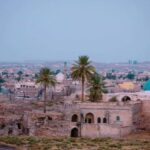 «نمک، خرما، توت»