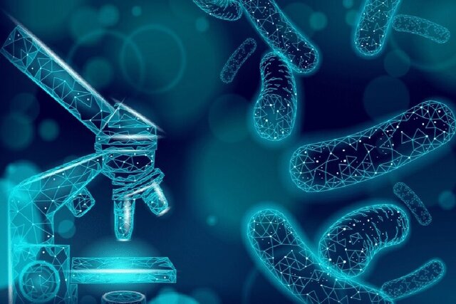 تولید بومی استارترهای لبنی