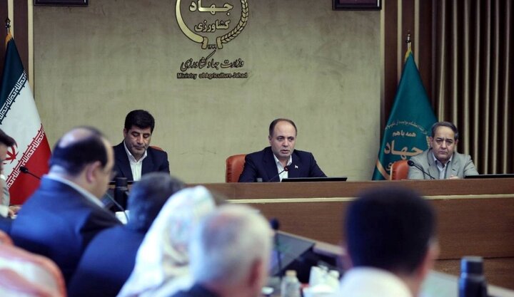 وزیر جهاد