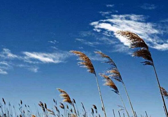 آسمان صاف