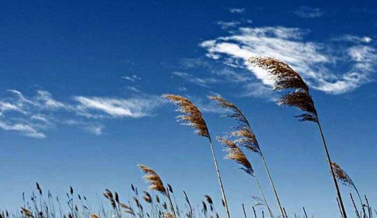 آسمان صاف