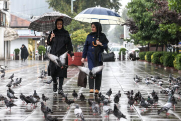 رگبار پراکنده