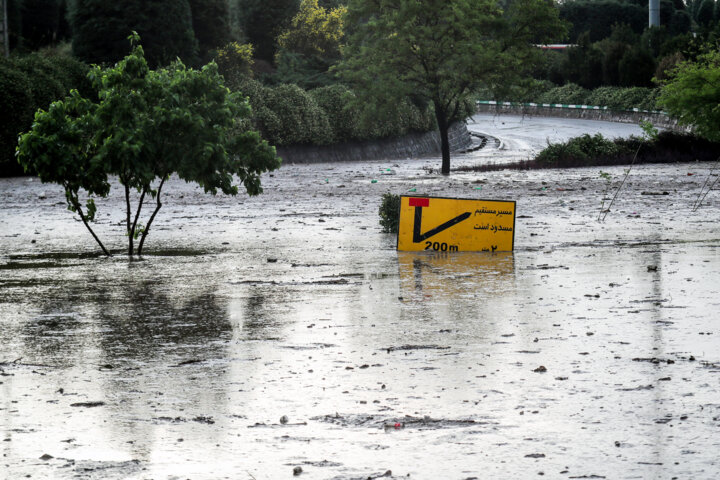 پیش‌بینی