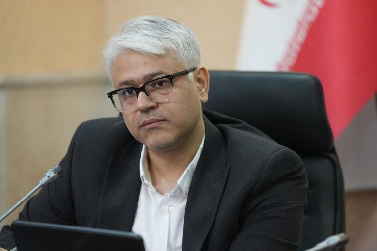  معاون سیاست‌گذاری و برنامه‌ریزی توسعه فاوا