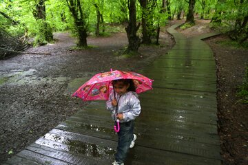 رگبار باران