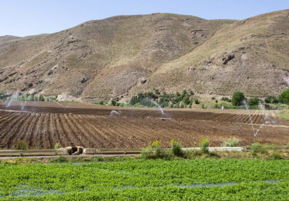 ایلام