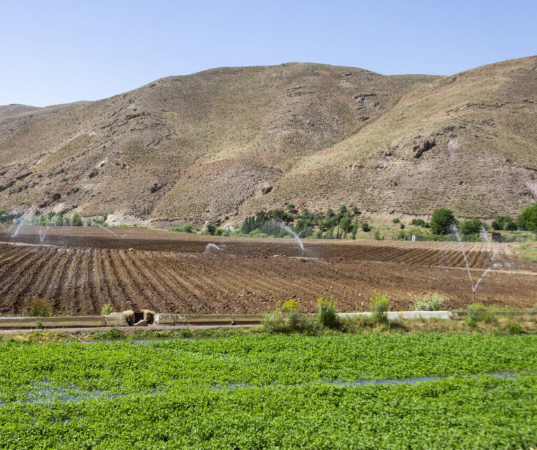 ایلام