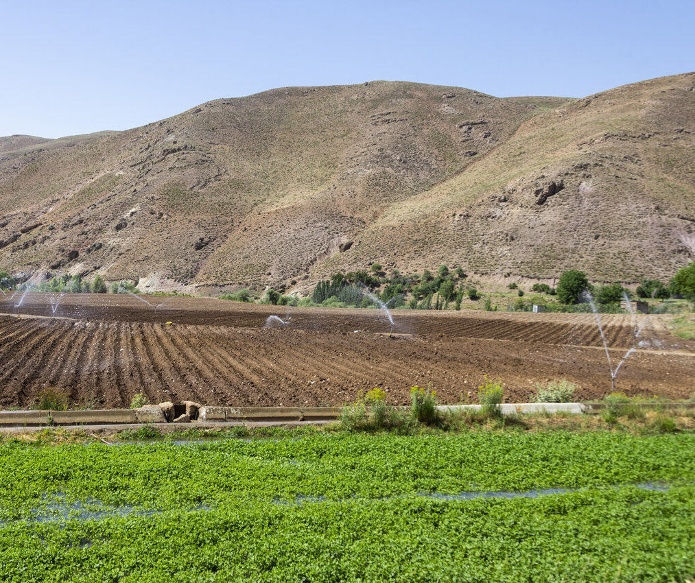 ایلام