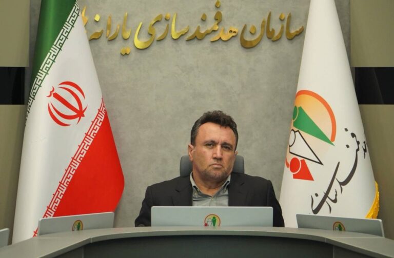 مدیرعامل سازمان هدفمندسازی یارانه‌ها