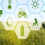 امنیت غذایی