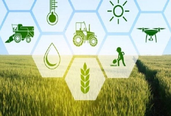 امنیت غذایی