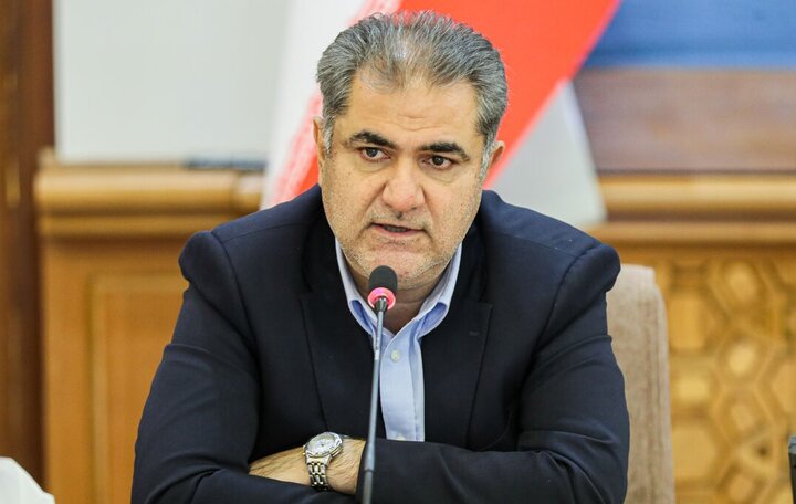 مدیرعامل سازمان ملی زمین و مسکن