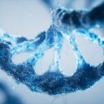 DNA