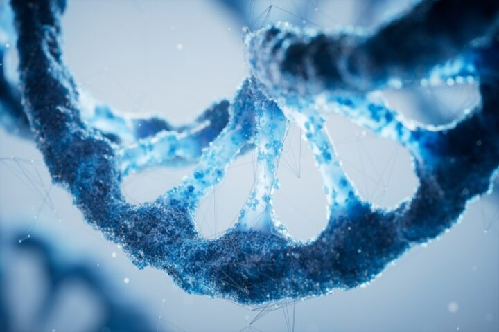 DNA