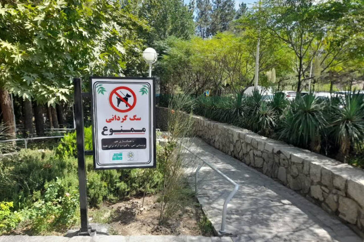 سگ‌گردانی